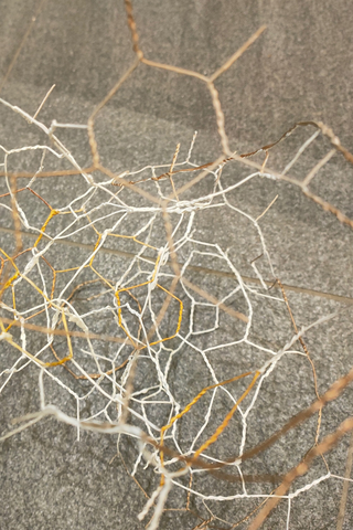 Penelope M. Mackworth-Praed