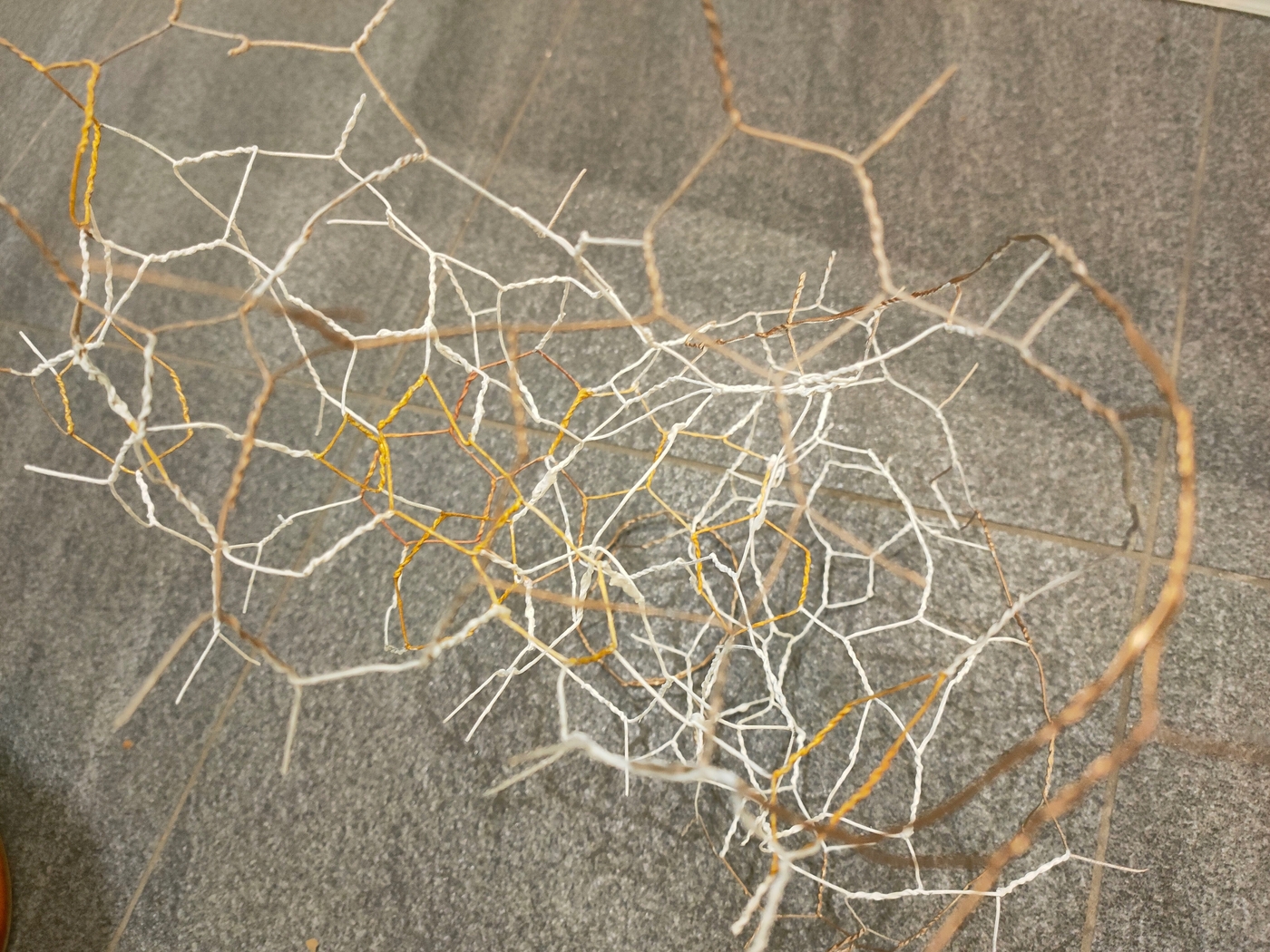 Penelope M. Mackworth-Praed